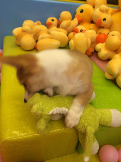 ˵