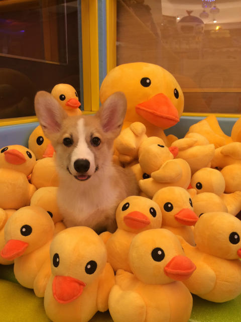 ˵