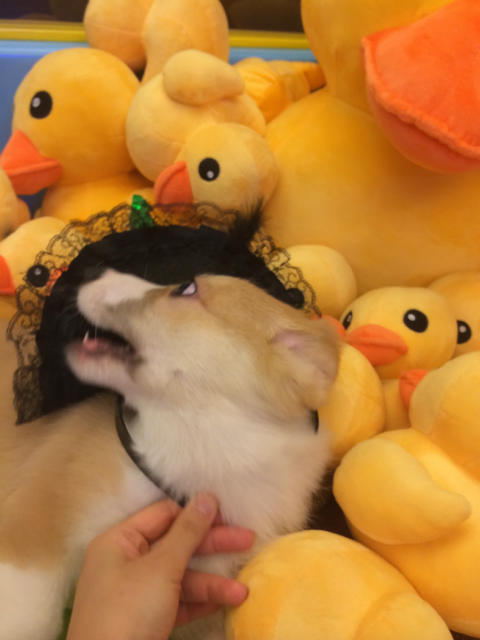 ˵