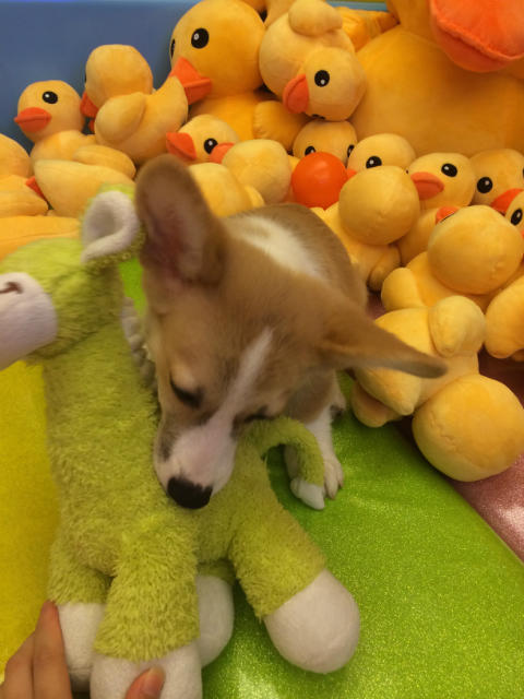 ˵