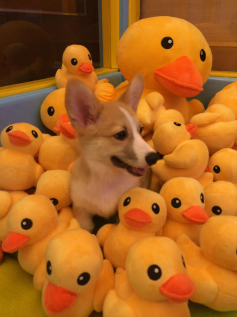 ˵