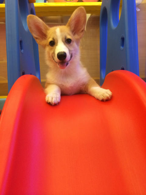 ˵