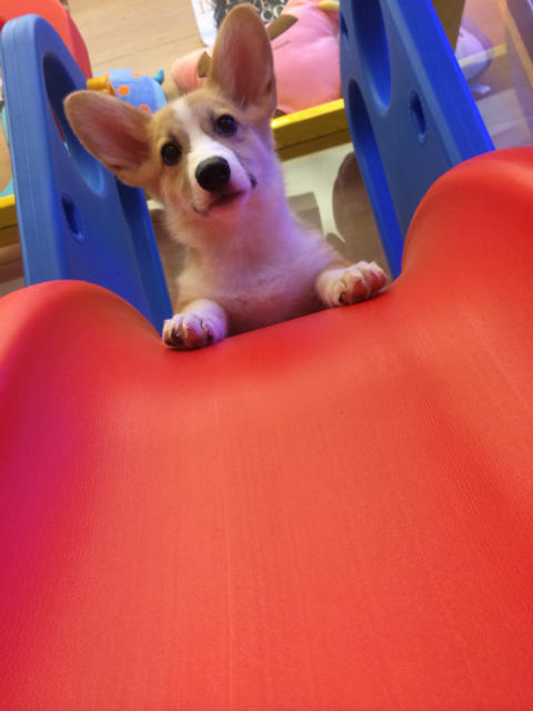 ˵