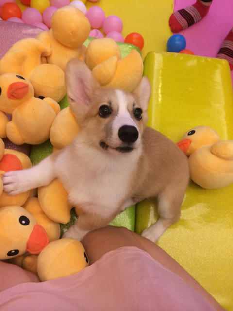 ˵