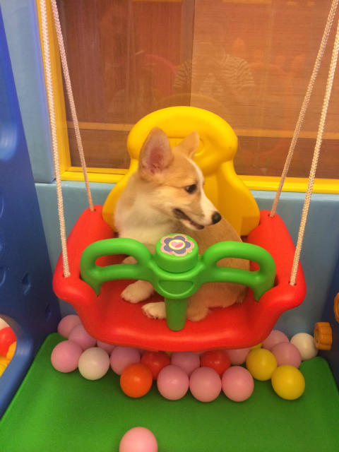 ˵