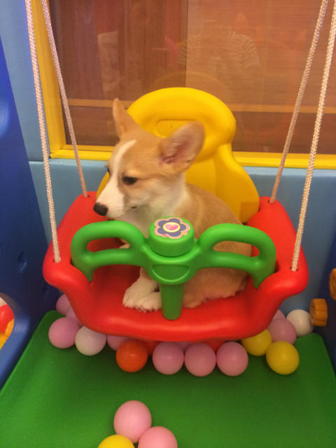 ˵