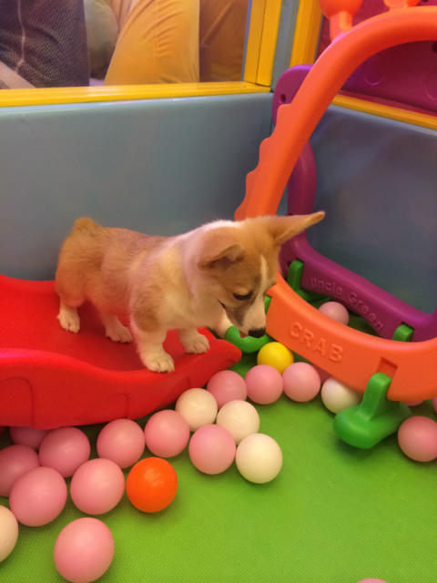 ˵