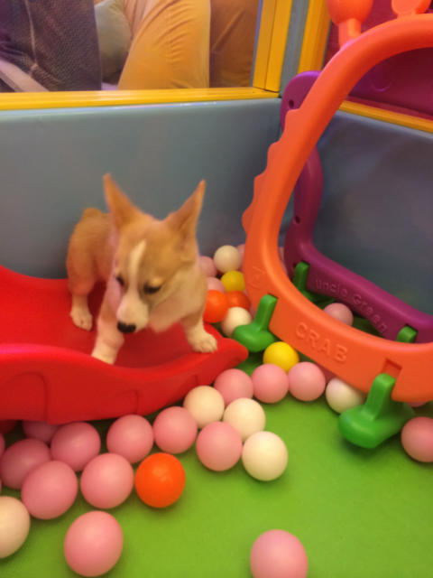 ˵