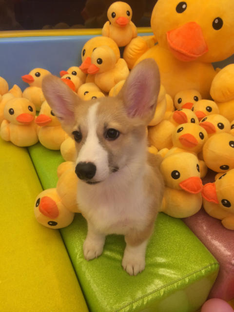 ˵