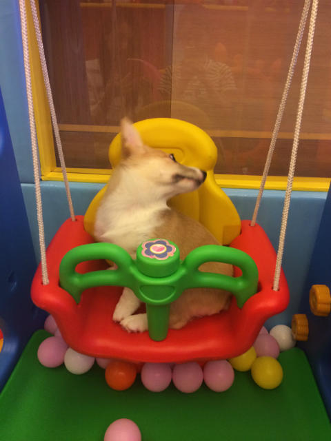 ˵