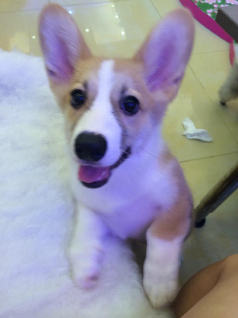˵