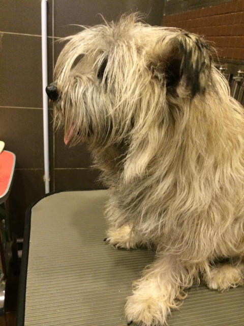 �˵����