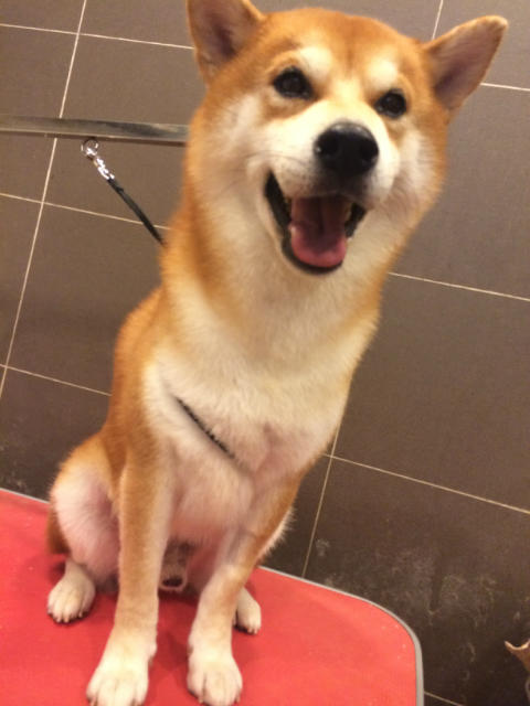 �˵����