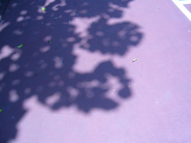 ˵