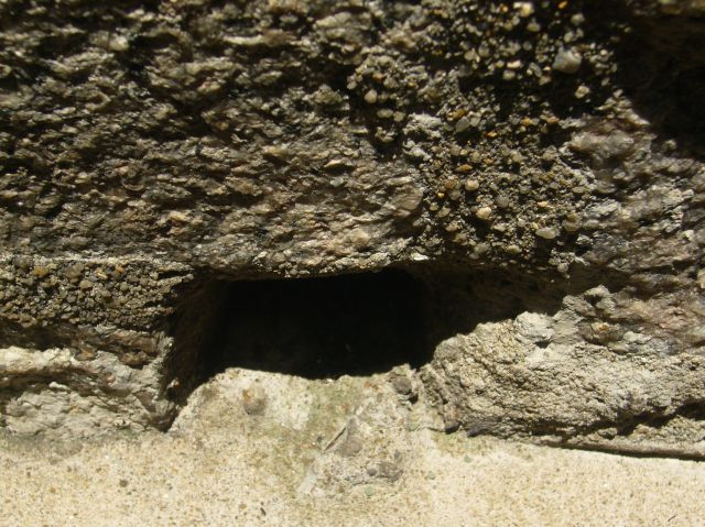 ˵