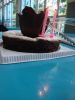 2011.3.9 �ɼy����dog�ͤ�