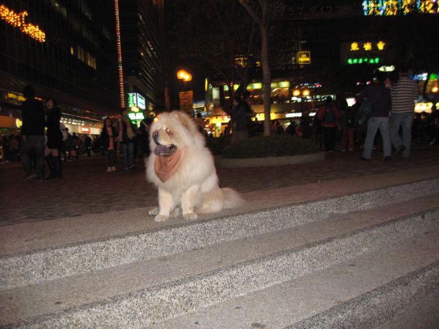 ˵