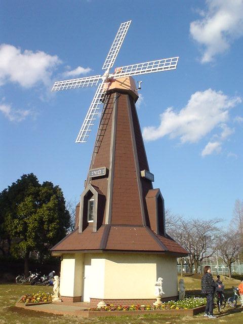 ˵