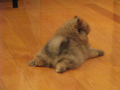 ˵