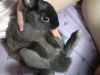 3�Ӥ�~6�Ӥ�