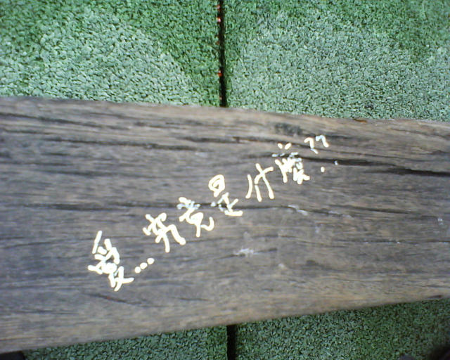 ˵