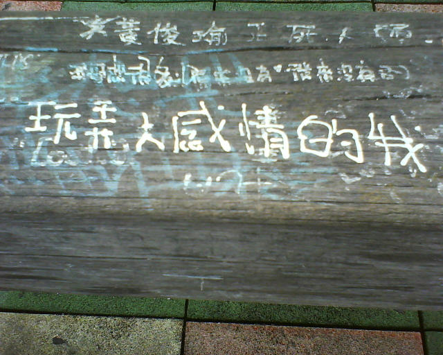 ˵