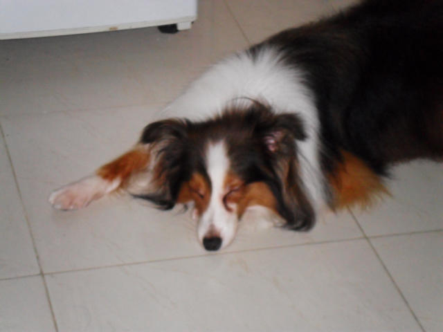 �˵����
