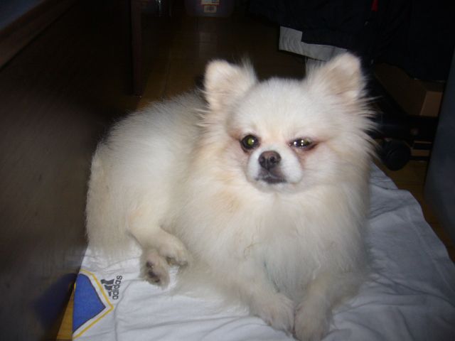 ˵