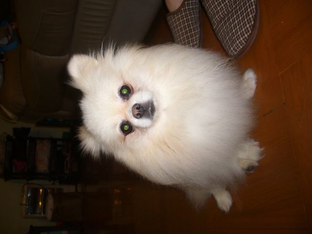 ˵
