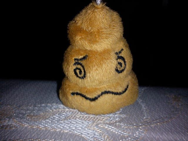 ˵