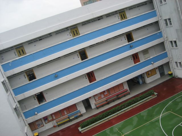 ˵