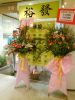 Congratulation***