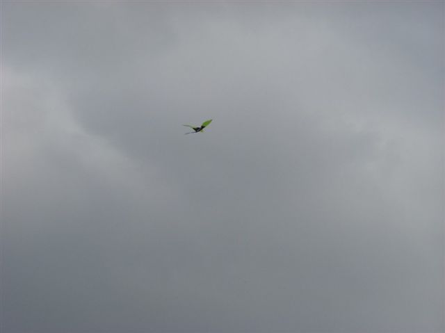 ˵