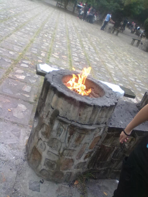 ˵