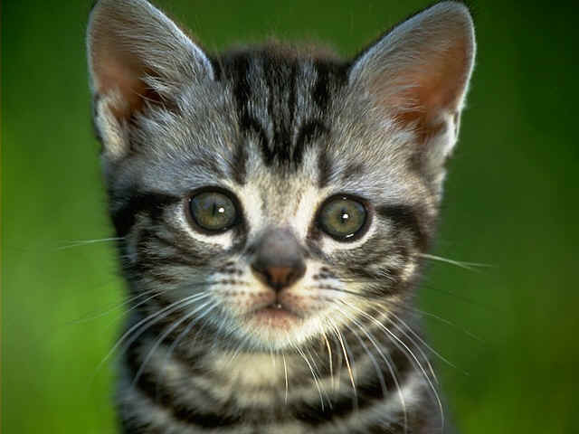 ˵