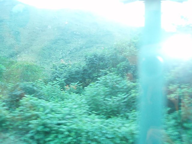 ˵