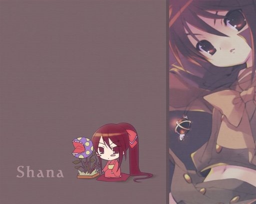 ˵