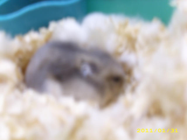 �˵����
