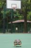 �t