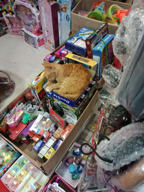 ˵