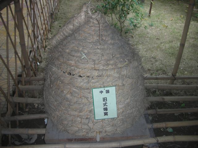 ˵