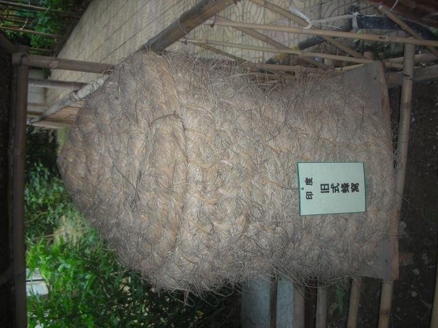 ˵