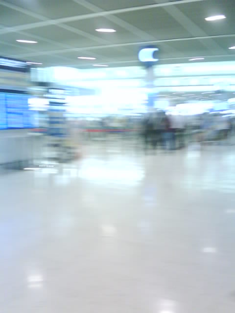 ˵