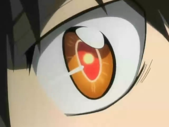 ˵