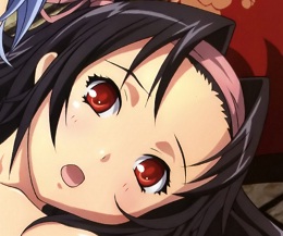 ˵