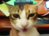 ��!!�p�p~~!!!