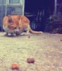 �H��ιq�ܼv�}�C