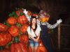 �ȡ�"�}�h�����гޡ�^ 25/10/08