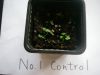 biology(day5)
