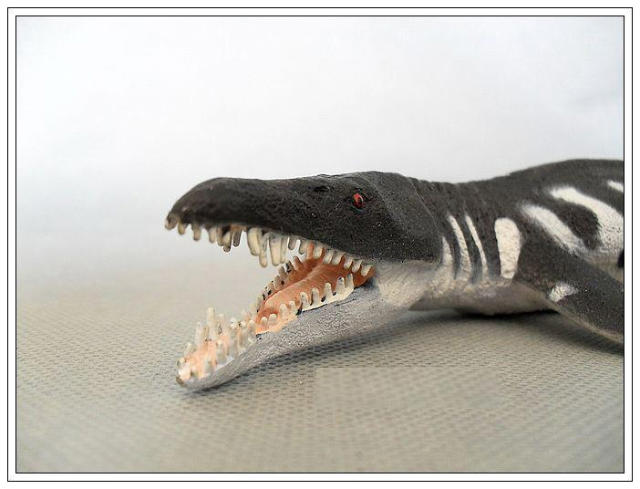 【产品名称】:safari精致模拟动物模型系列 - 滑齿龙liopleurodon